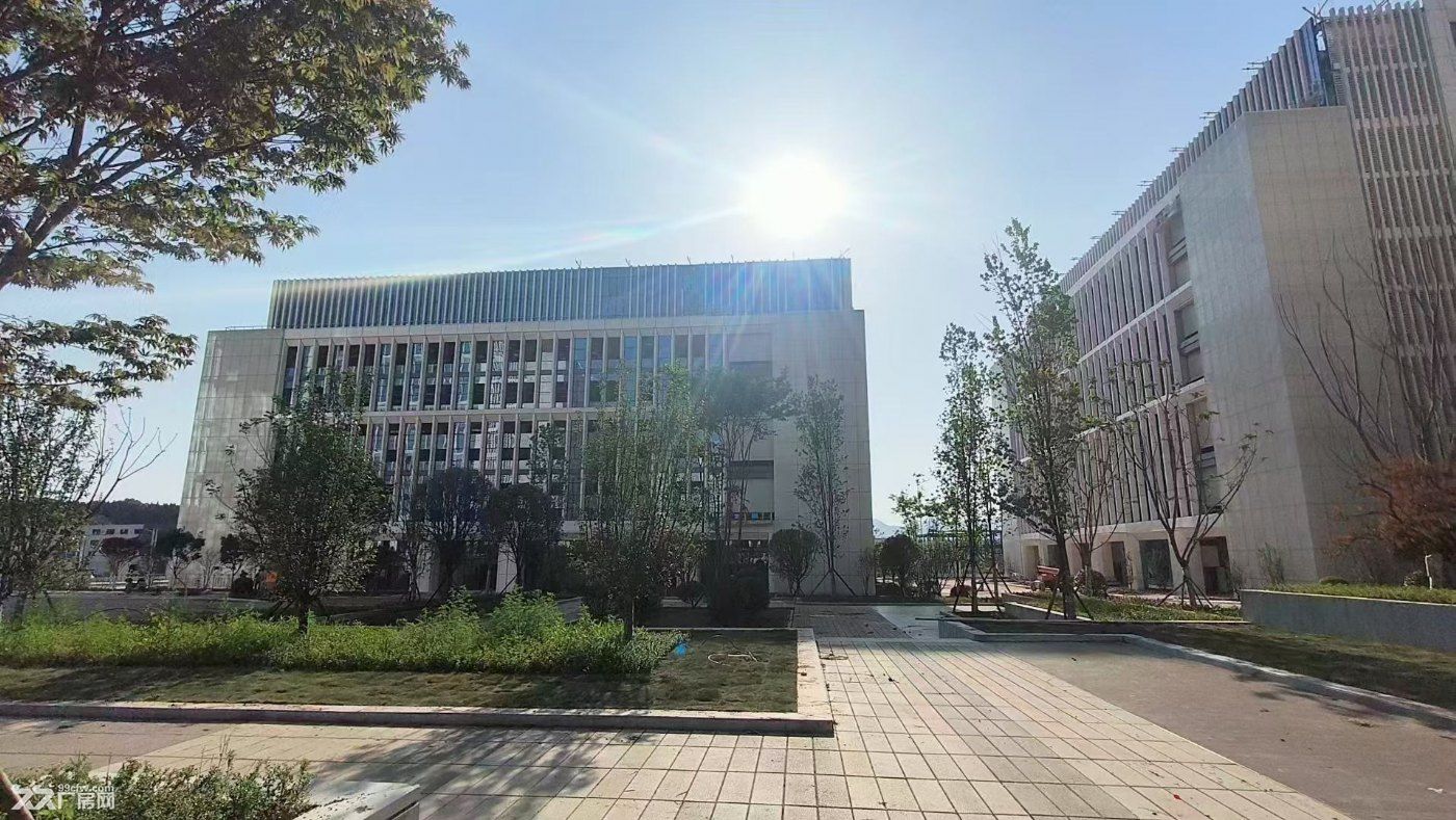租金优惠,政策福利好,可环评,位置佳,全新高标准厂房, - 5