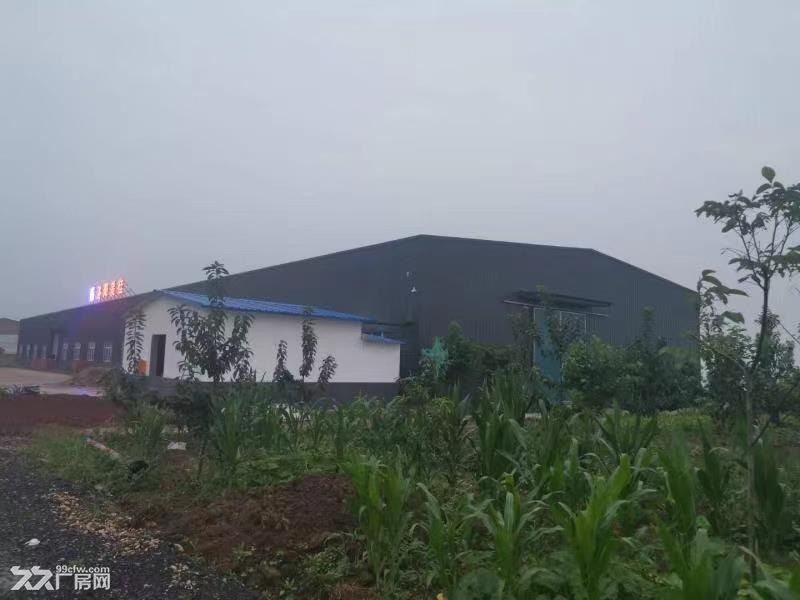 新建厂房1000平方米,交通便利