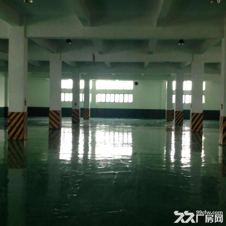 徐浦大桥附近10000平米标准仓库出租可分割