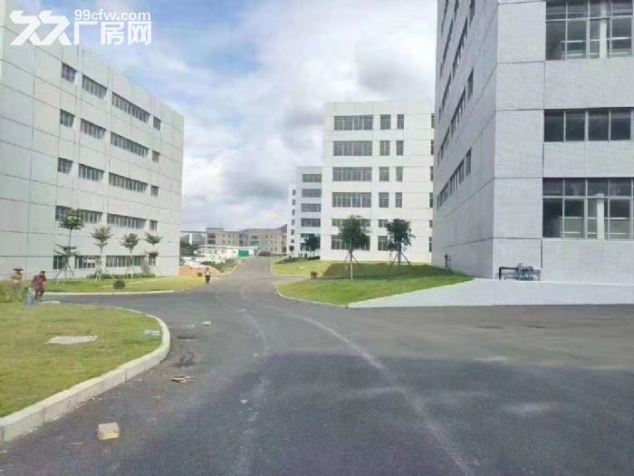 清溪全新红本工业园总面积13万平米招租 - 4