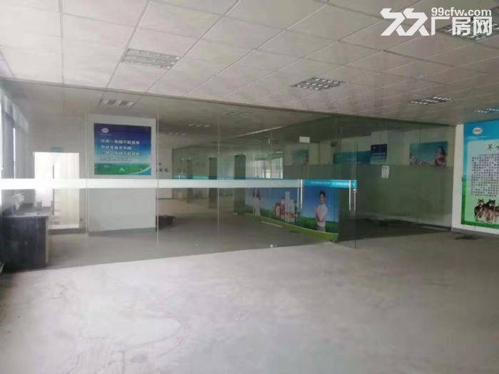 台山水步工业新城标准厂房2000平方招租，水电齐全消防合格 - 3