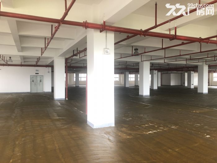 广州黄埔东区孵化器花园式工业园区出售不动产权红本在手中介勿扰 - 4