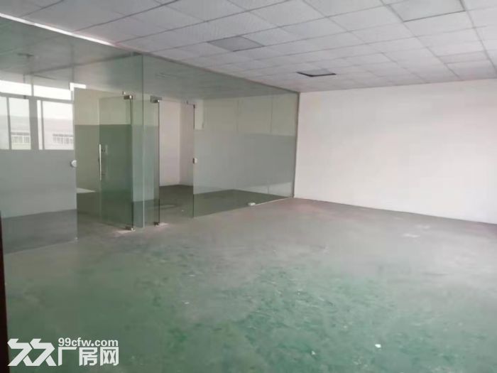 台山水步工业区3000平方现成格局全装修厂房出租 - 3