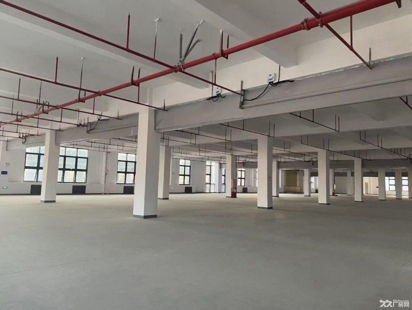 深圳宝安科技园全新红本工业用地厂房研发楼现房300平售起 - 3