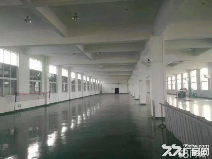 滨海独栋4000平有喷淋地坪漆货梯3吨价格15 - 2