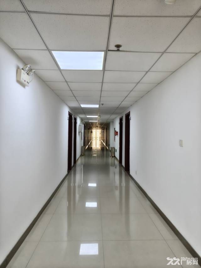 沈阳市浑南区浑南东路建筑大学附近917㎡办公楼宿舍出租