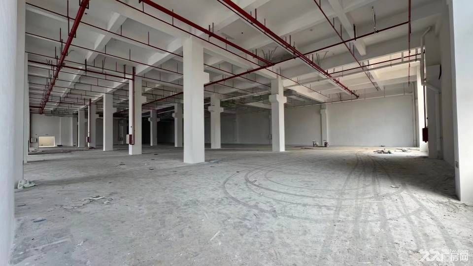 博罗县罗阳镇3000平标准厂房可办公有空地 - 5