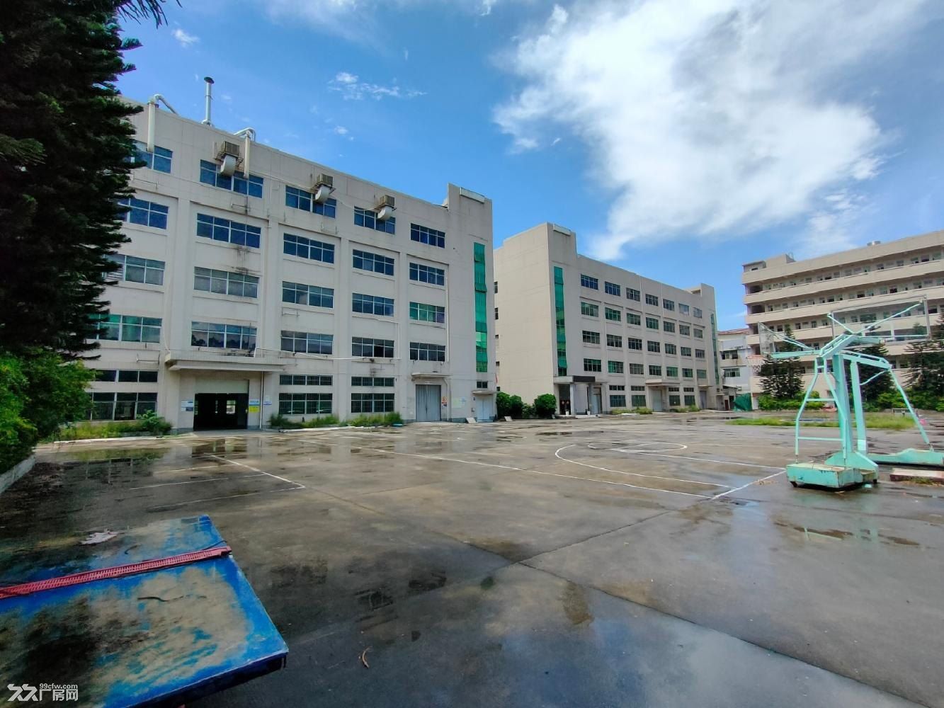 东莞凤岗金凤凰原房东实际面积出租8500平,一楼层高5.5米