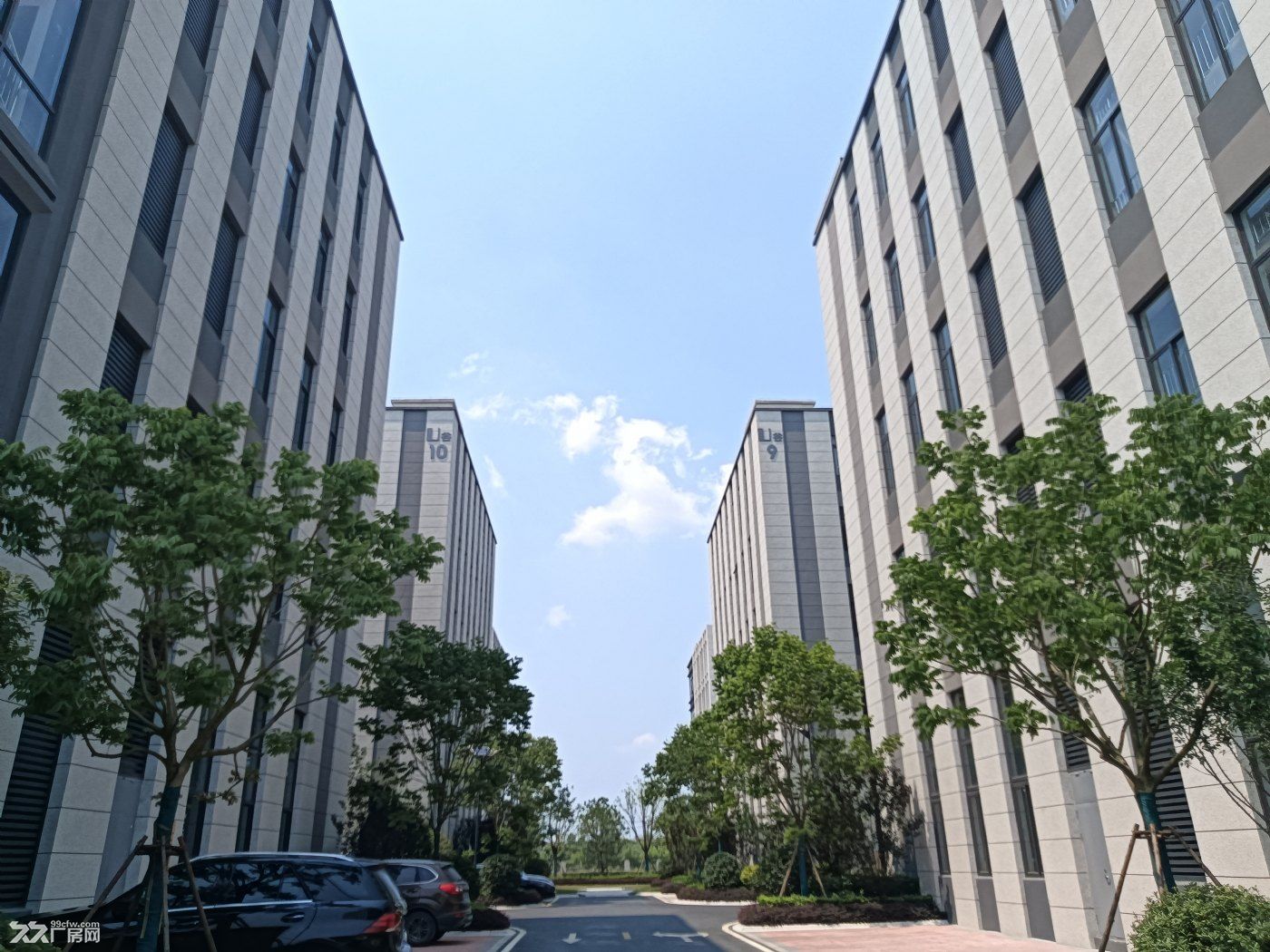 生产、仓储、办公、研发 开发商直租无中介费 独栋厂房 层高6米 可分租可整租 - 4