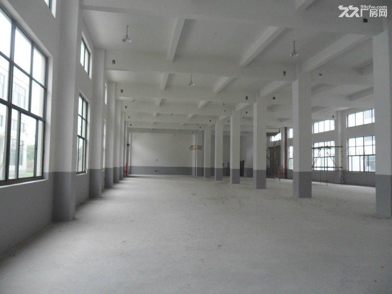 惠城区马安新乐附近大型工业区1-4楼6000平方出租 - 3