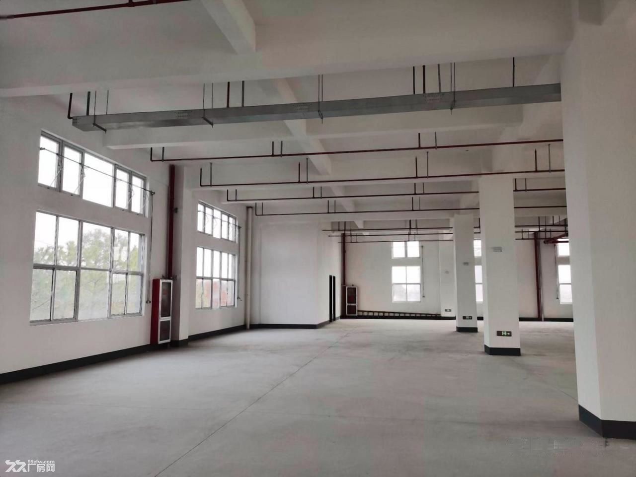 地铁口独门独院厂房仓库 办公 电商直播 展厅仓储物流组装加工 - 4
