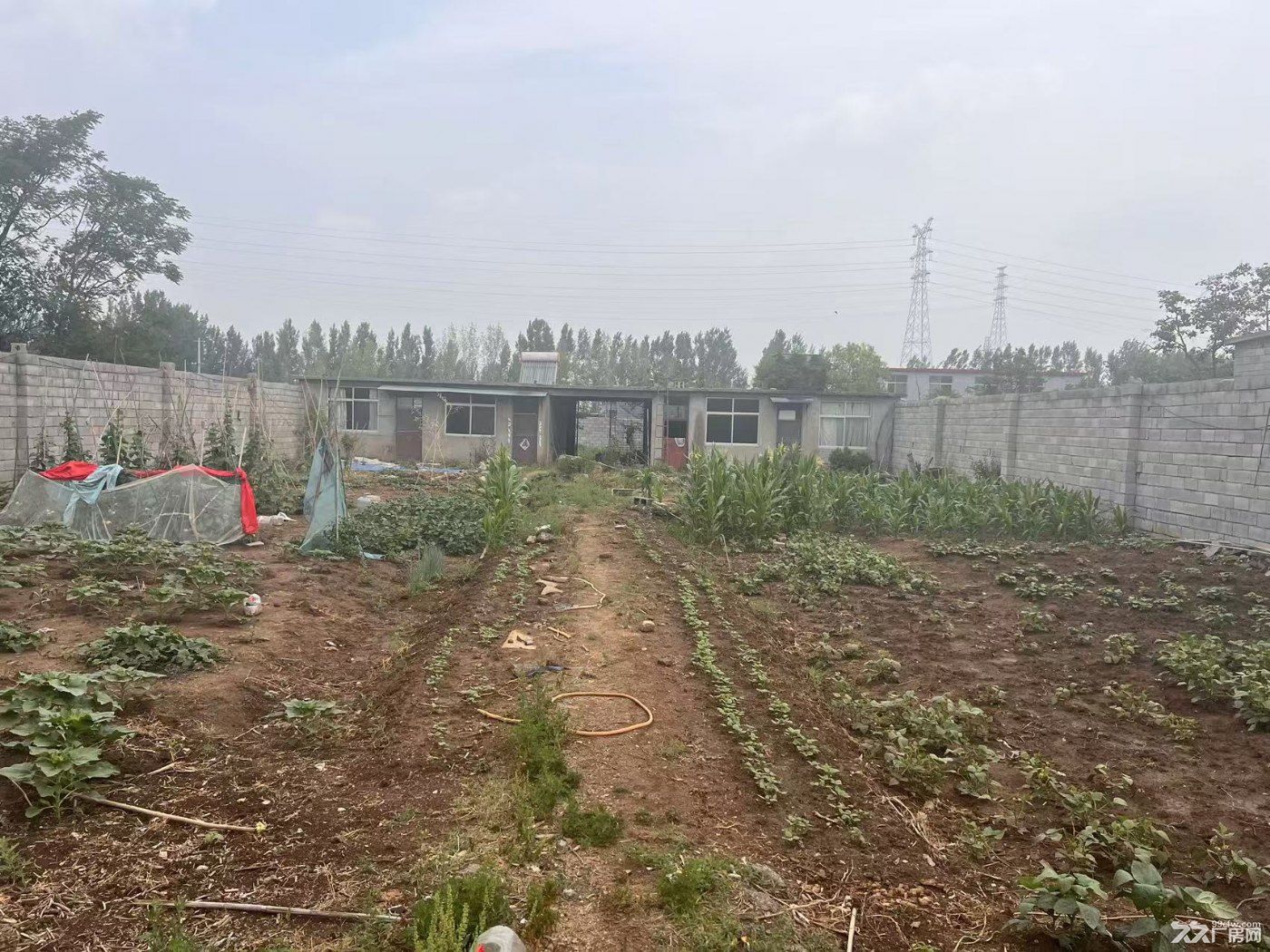 土地出租 水电齐全,交通便利,车辆可通行 - 2