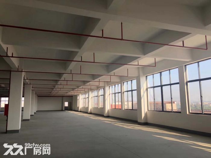 台山水步工业区3000平方电子厂出租