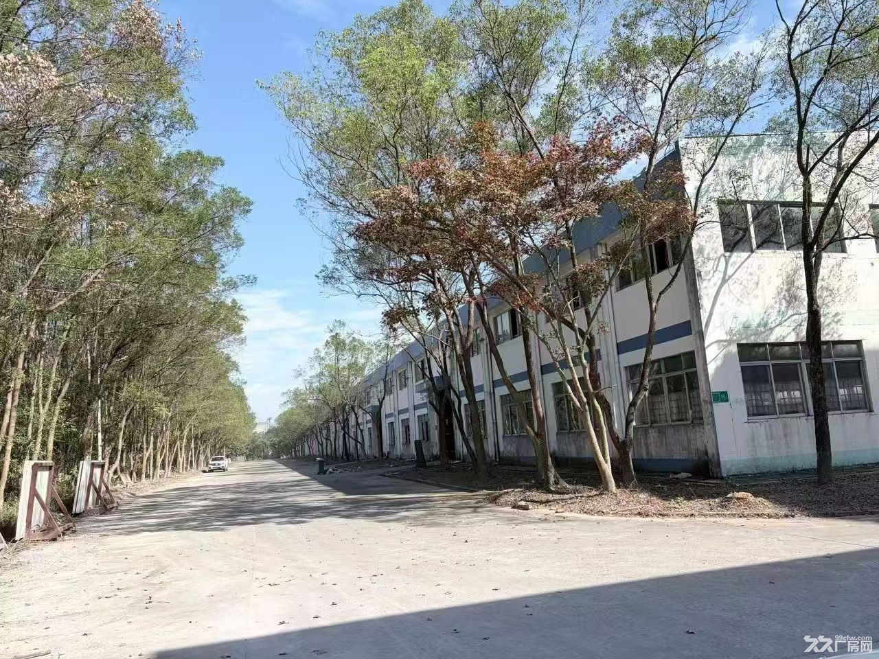 惠城区10万平方砖墙到顶钢结构招租,高12米