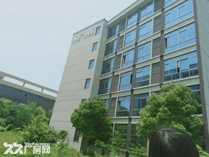 好消息厂房出售非中介 - 5