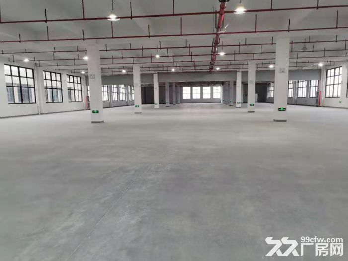 嘉兴高照街道离水果市场近的仓库出租2000平米 - 6