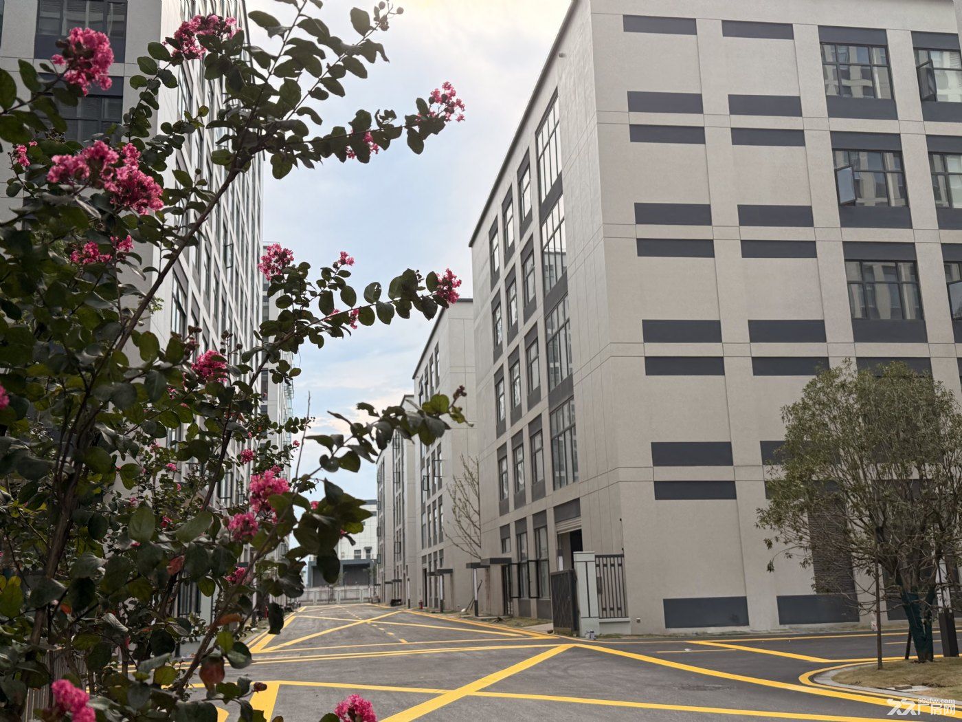 政府全新园区，政策扶持，租金可全免，有单层、有整幢，面积多选 - 8