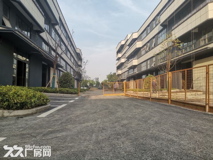 稀缺厂房开发商直招1700平到3100平三层厂房出售 - 7