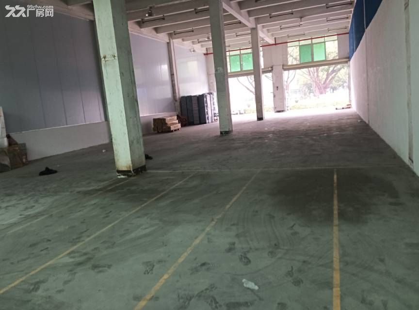 黄埔区埔南实惠厂房出租 - 3