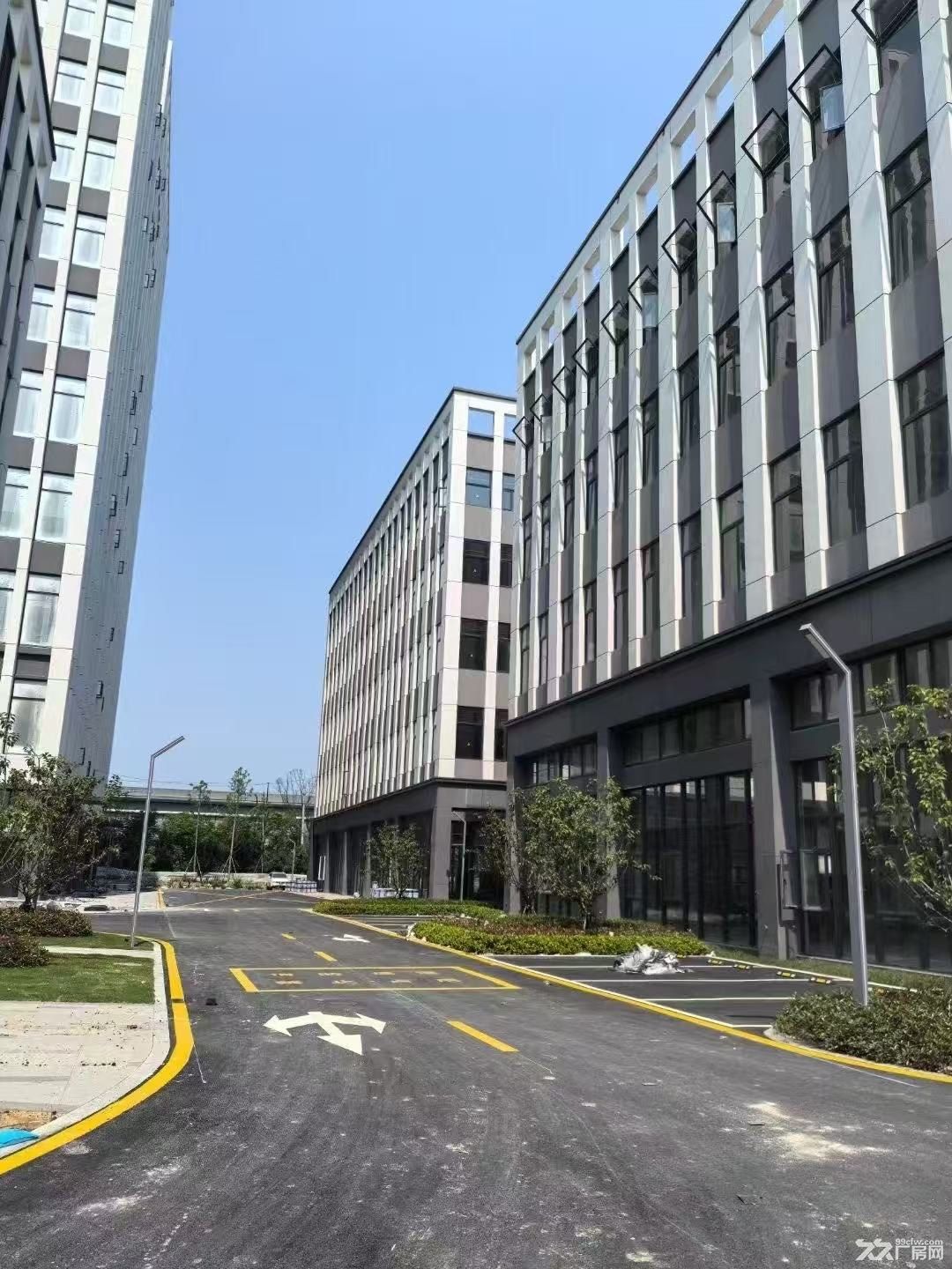北仑新契全新园区厂房直招 首付二层 小四层独栋 - 5