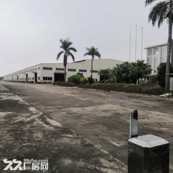 江门台山独院单一层带牛角12米高厂房20000平方招租 - 5