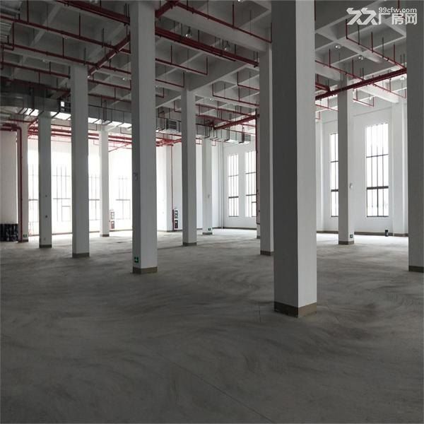 吴江开发区屯村独门独院2500平米 - 3