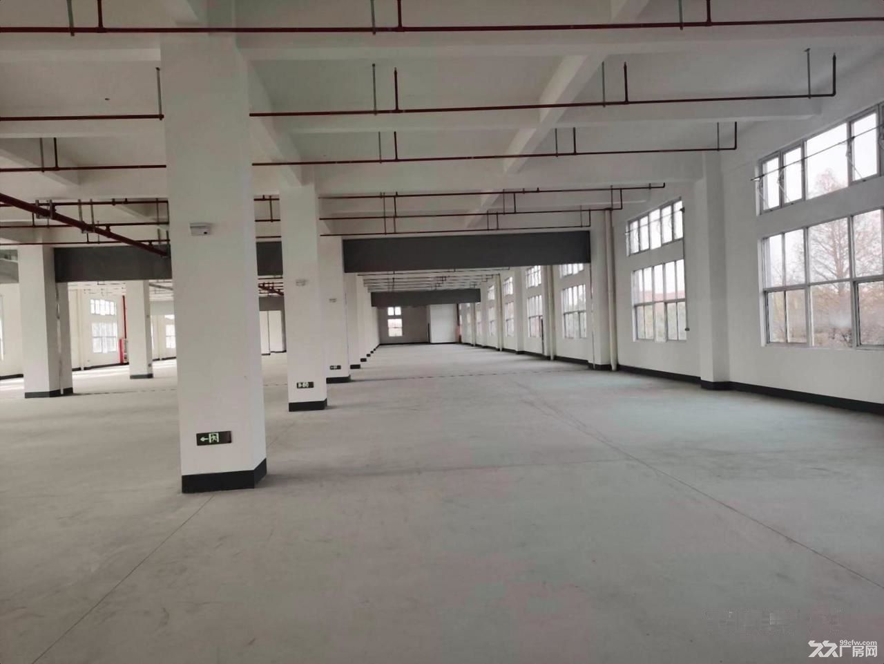 地铁口独门独院厂房仓库 办公 电商直播 展厅仓储物流组装加工 - 8