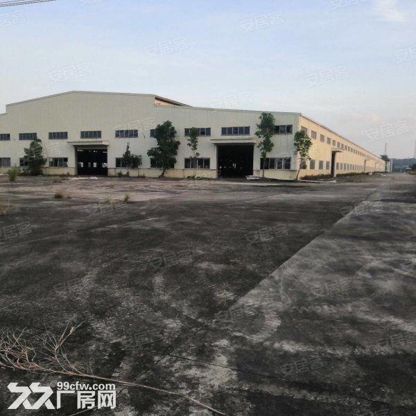 江门台山独院单一层带牛角12米高厂房20000平方招租 - 2