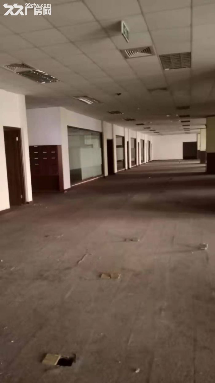 唯亭 独栋多层23000平标准厂房 可分租 可包租 配电大