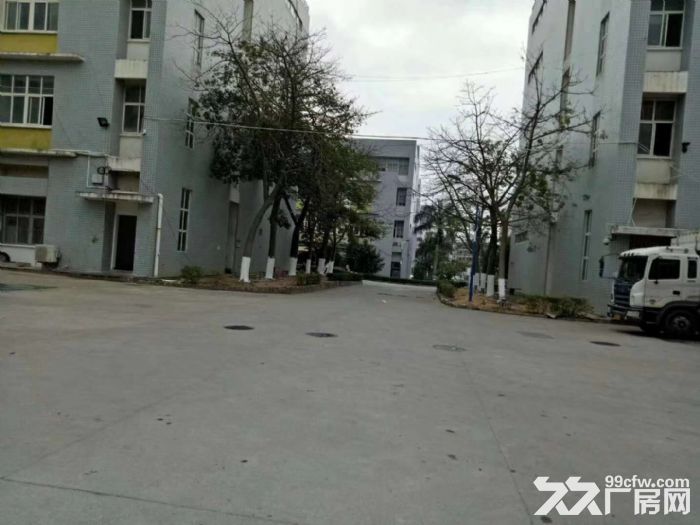 巷北工业区宝格丽厂房一楼550平方出租, - 3