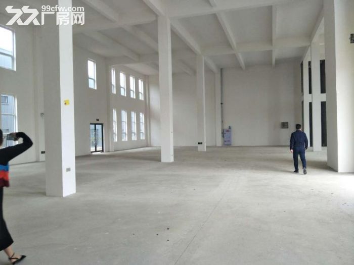 出售新津框架结构厂房，独门独院 - 4