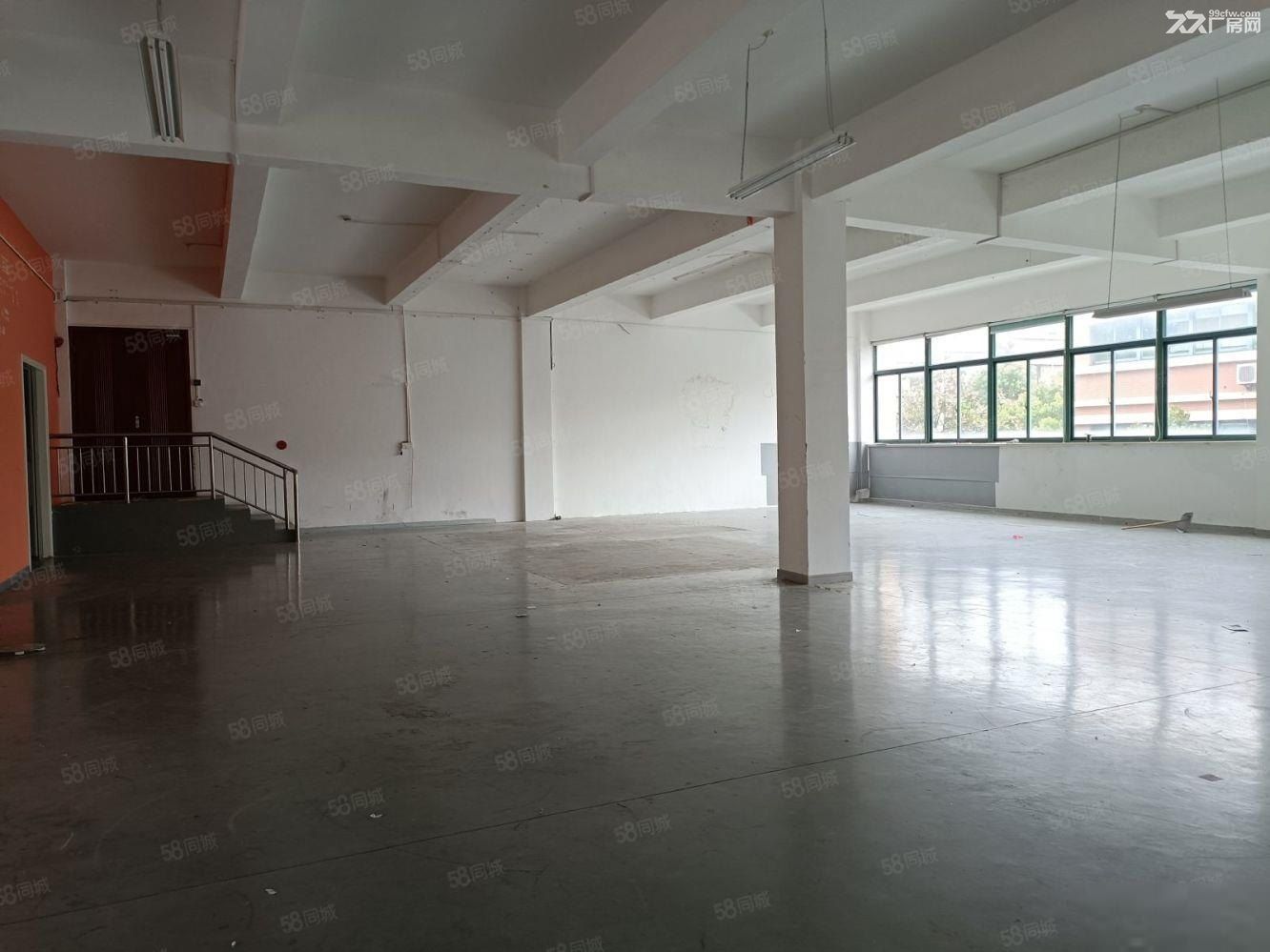 沪南路近地铁站 房东直租 标准厂房800平 可分租 形象好 - 5