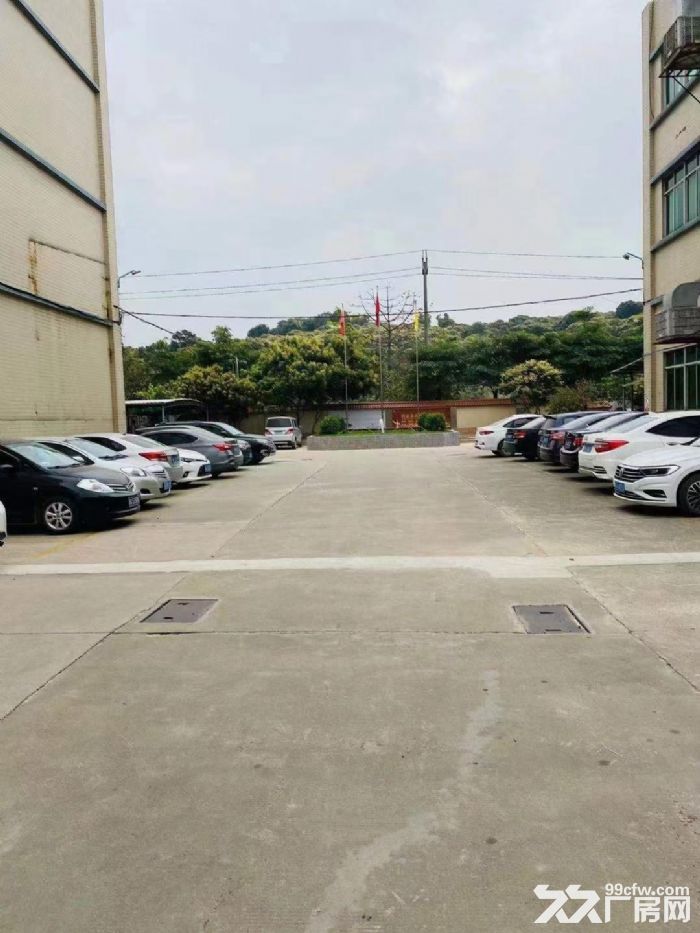 黄埔东区萝岗高速路出口附近园区厂房出租8040平，500起租，带精装修 - 3