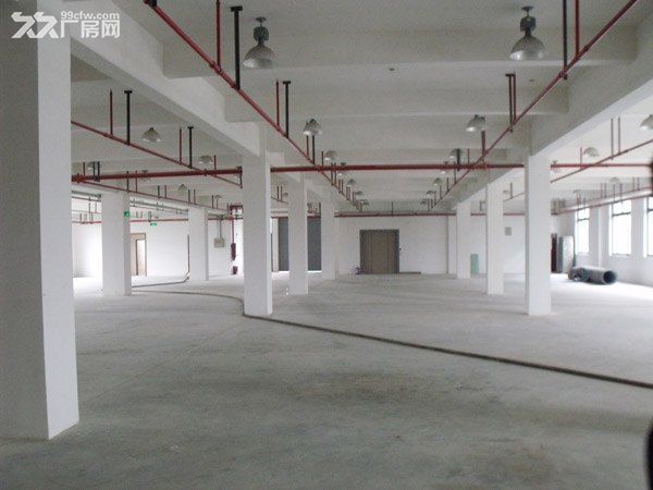 张江高科中区南段，康桥厂房资源汇，一层楼上灵活分割，业态不限，200至独栋5千 - 6