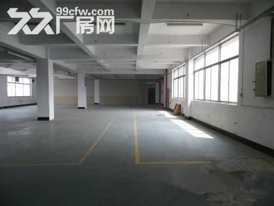 个人.三楼1500平米仓库或.电子厂房 - 3
