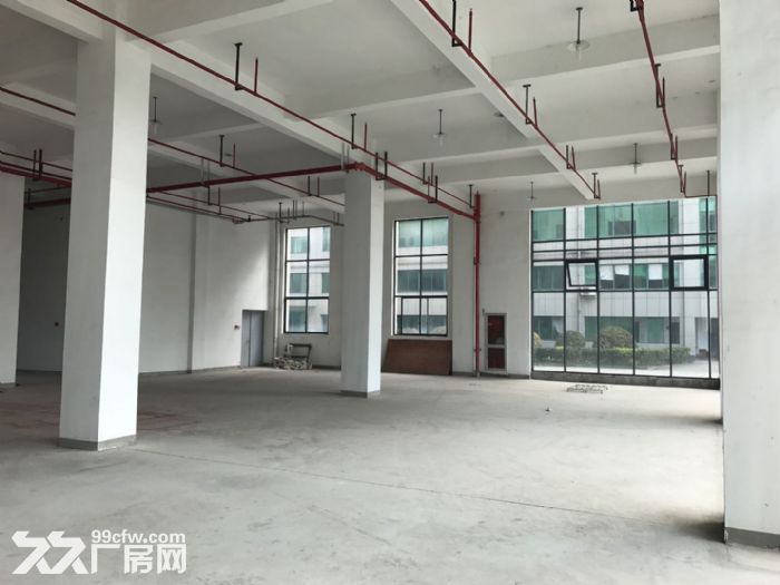 滨江独栋单层2000方标准厂房,电商服装设计展厅等 - 2