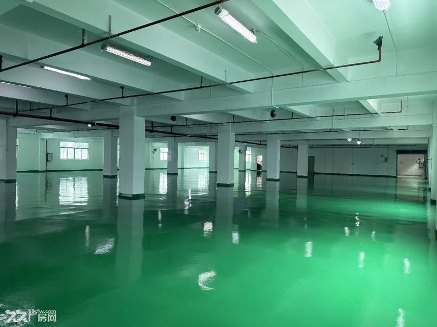 寮步靠石大路新出原房国有双证超大空地标准独院 - 6