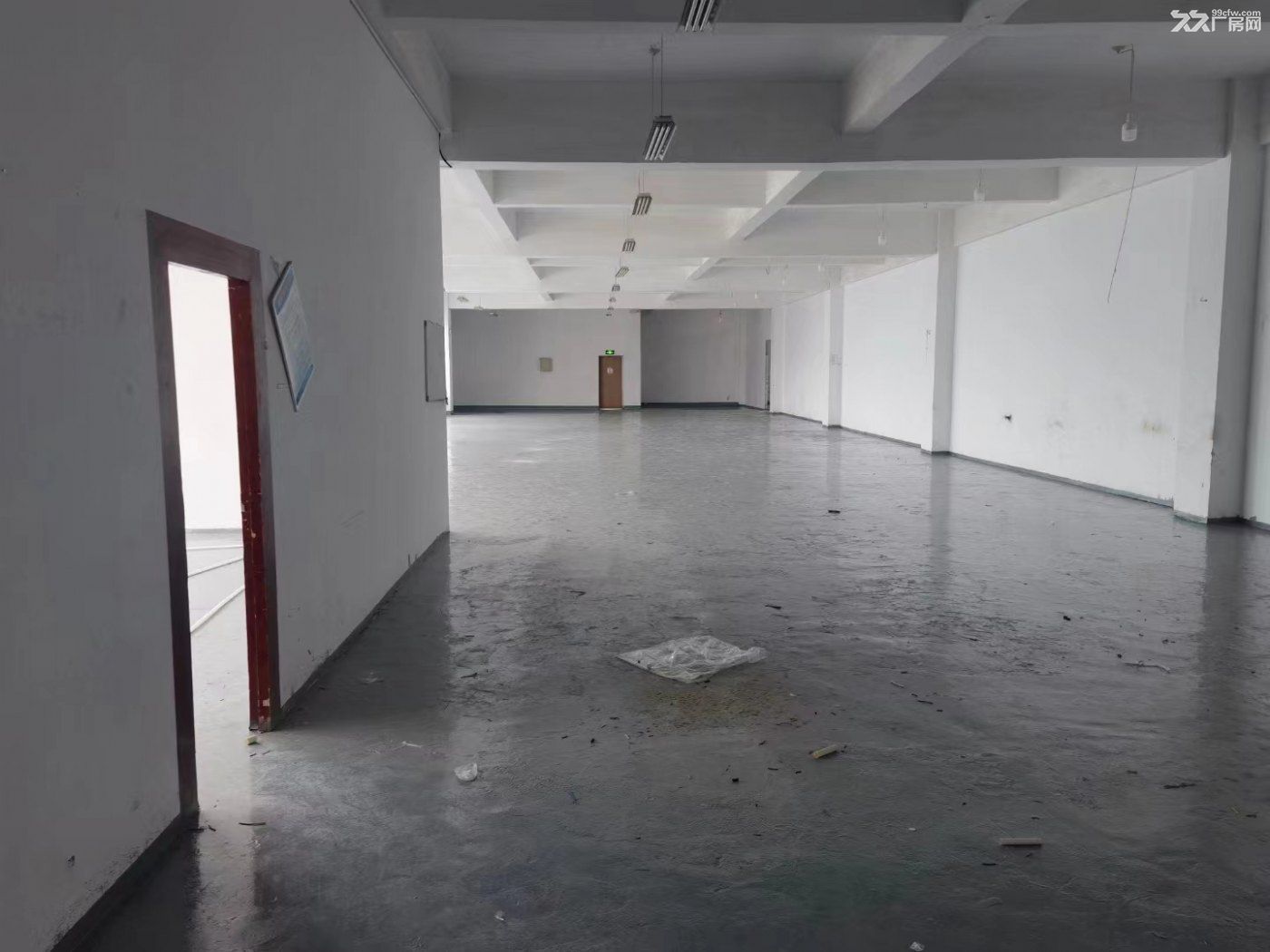 松江工业区西部开发区一楼厂房出租 - 3