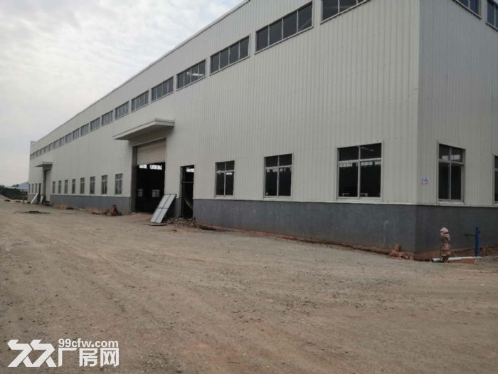 江门台山工业新城独院空地大50000平方厂房仓库招租 - 3