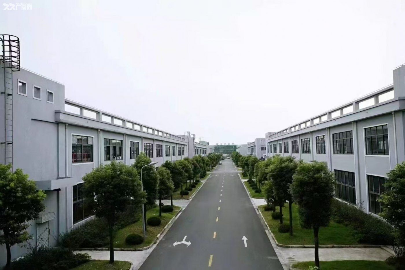 浦东康桥 秀浦路3999弄 聚诚创业园 研发生产厂房