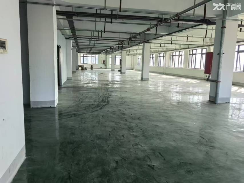 新站区标准厂房独门独院920平可分租 - 4