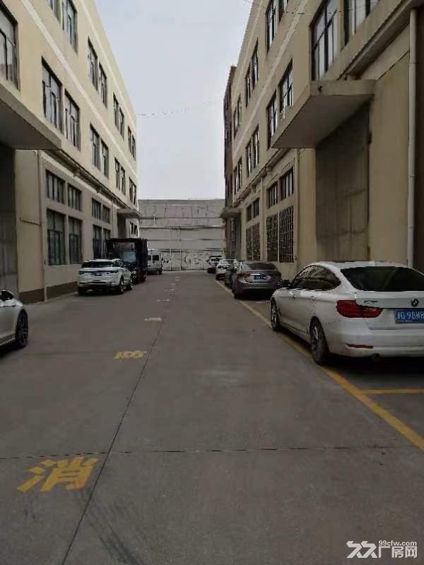 出租袍江望海路5号厂房 - 5