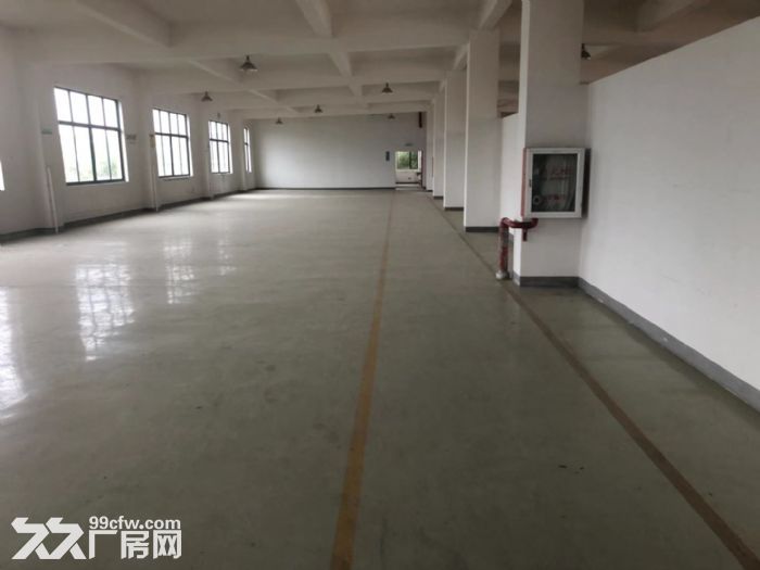 西渡1000平独立一层平无公摊交通方便有办公 - 2