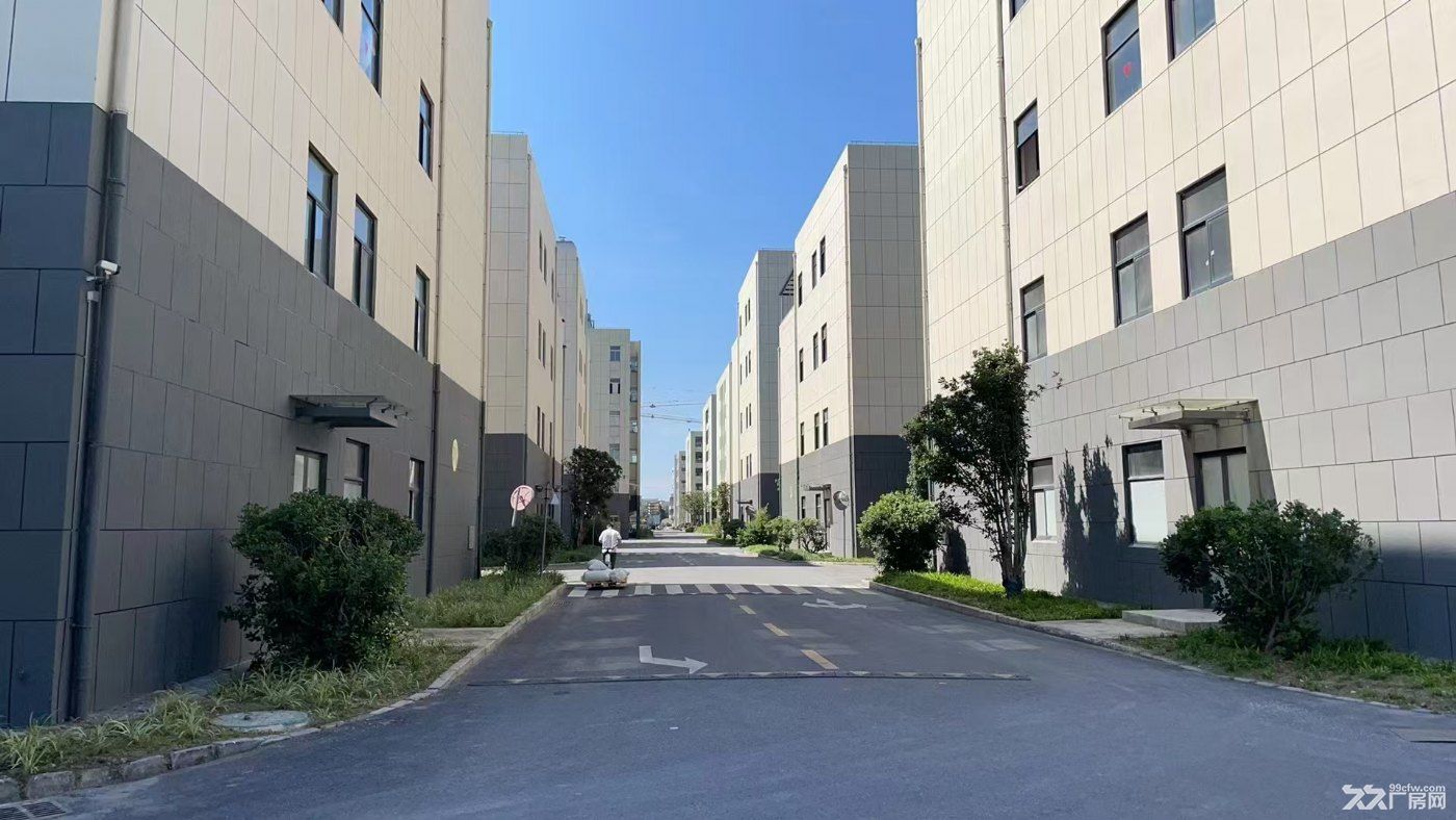 松江独栋四层厂房出售2000平起售