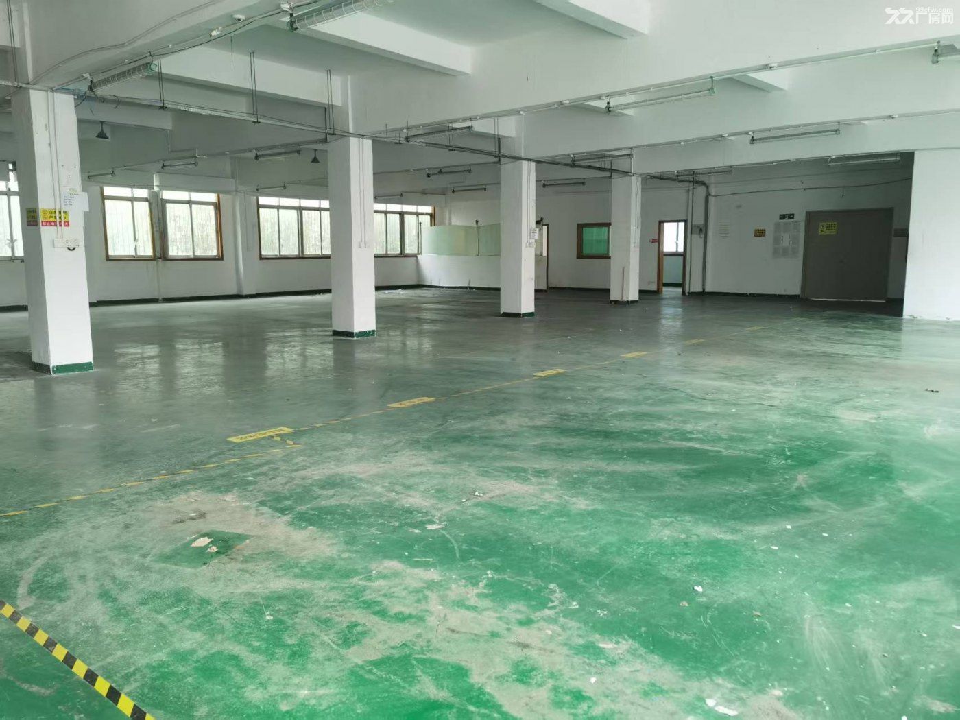 观澜观光路｜独院1650㎡厂房整栋招租｜配货梯+380V动力电｜富士康/华为产业 - 7