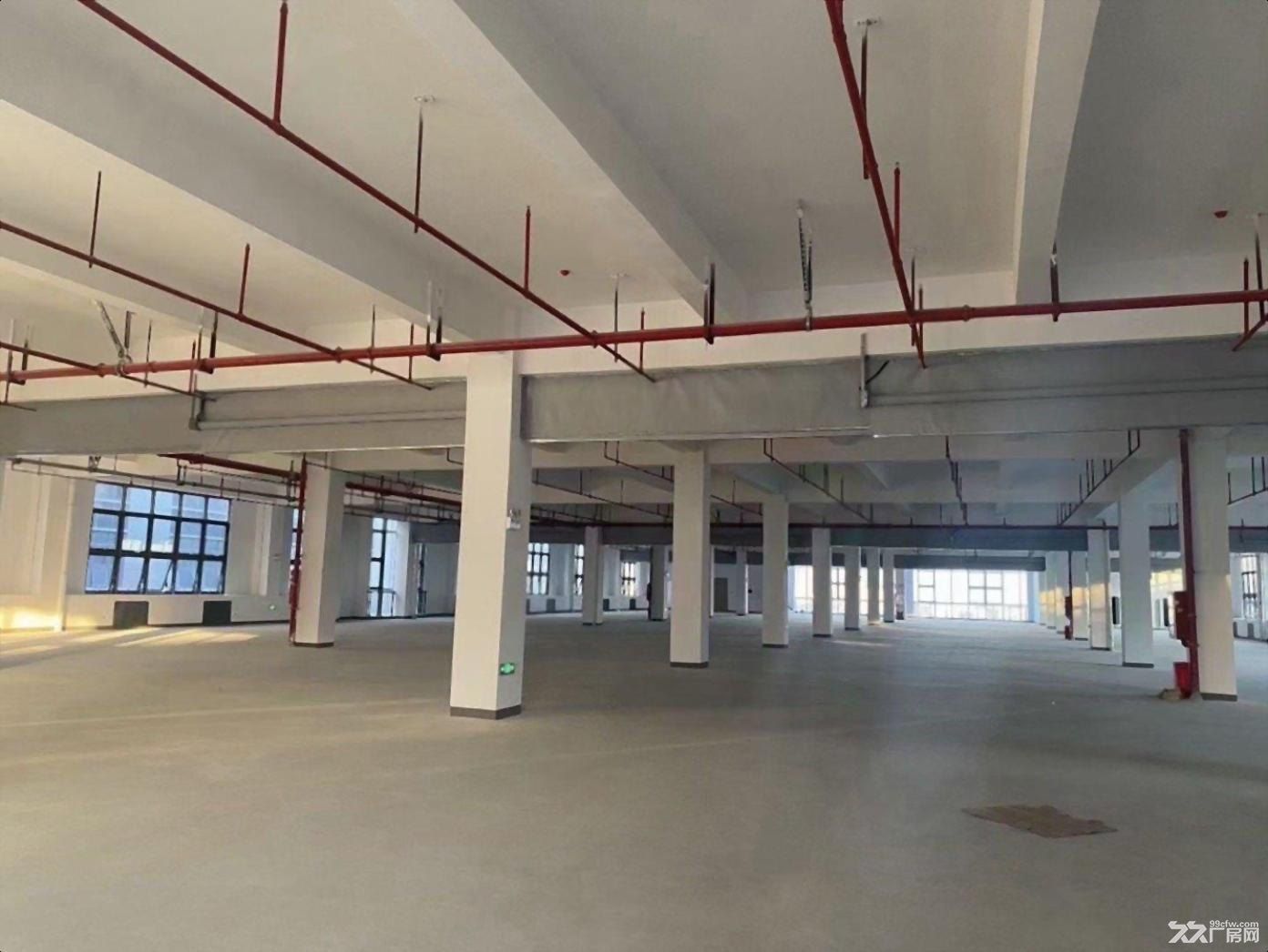 深圳宝安科技园全新红本工业用地厂房研发楼现房300平售起 - 8