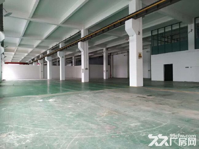 番禺南村标准一楼厂房出租1300平,空地大,上下货方便,可办环评 - 3