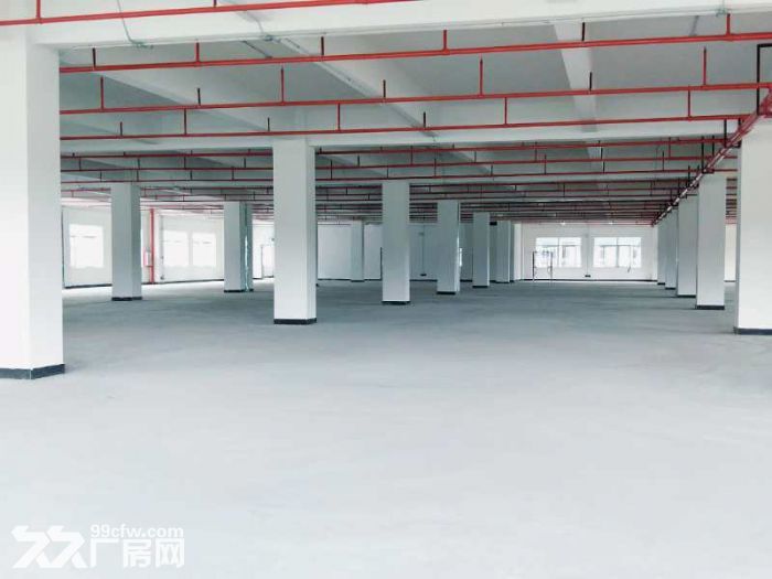 东莞市凤岗镇独门独院厂房出租2万平 可分租 - 5