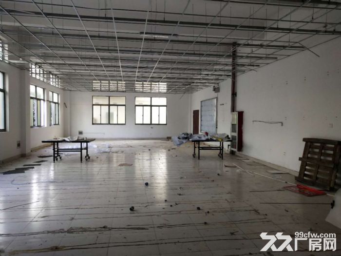 A唯亭20000平单层厂房出租 形象好 可分租 - 2