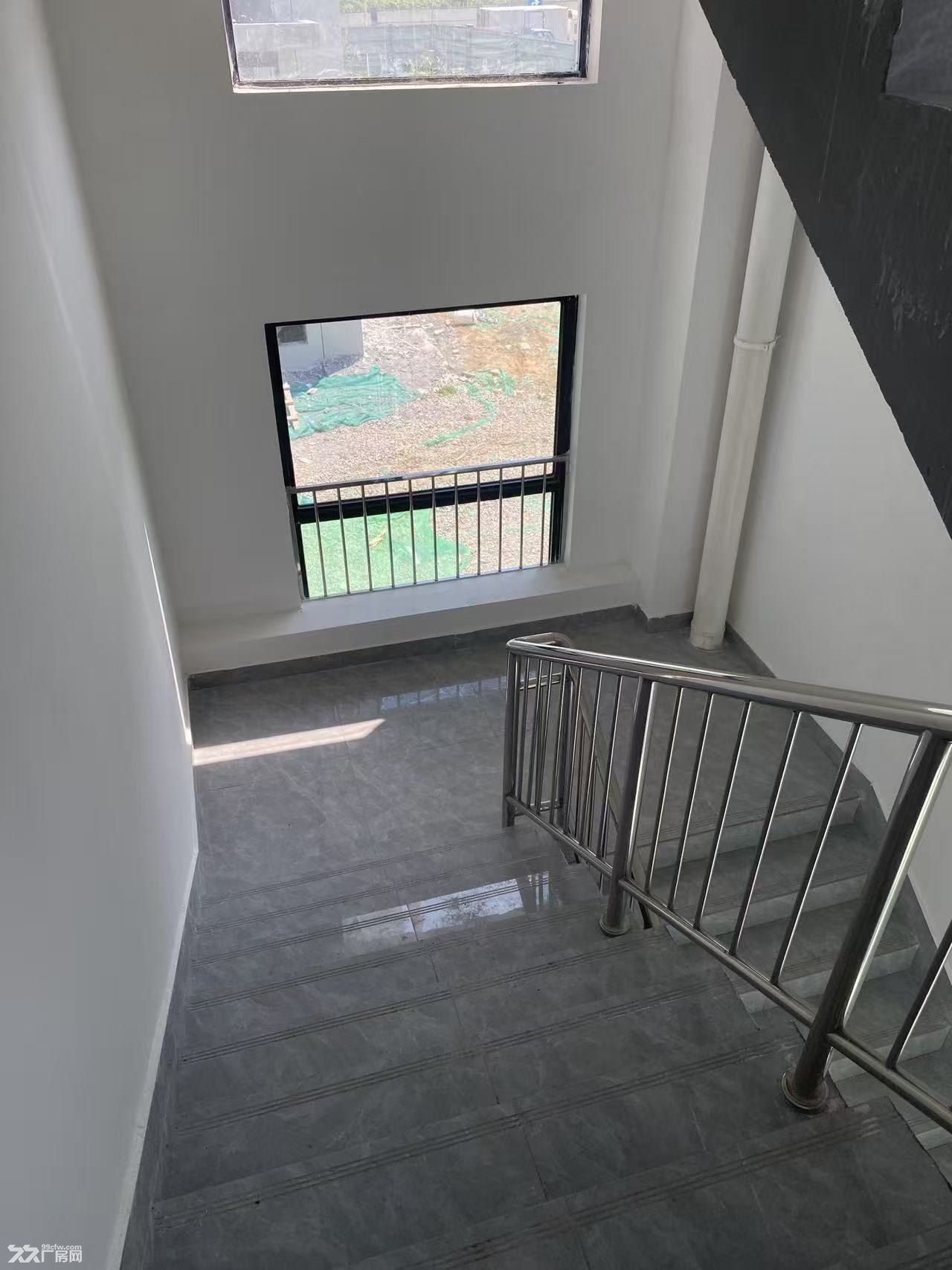伦教智荟港2100方4层高小独栋招商中 - 4